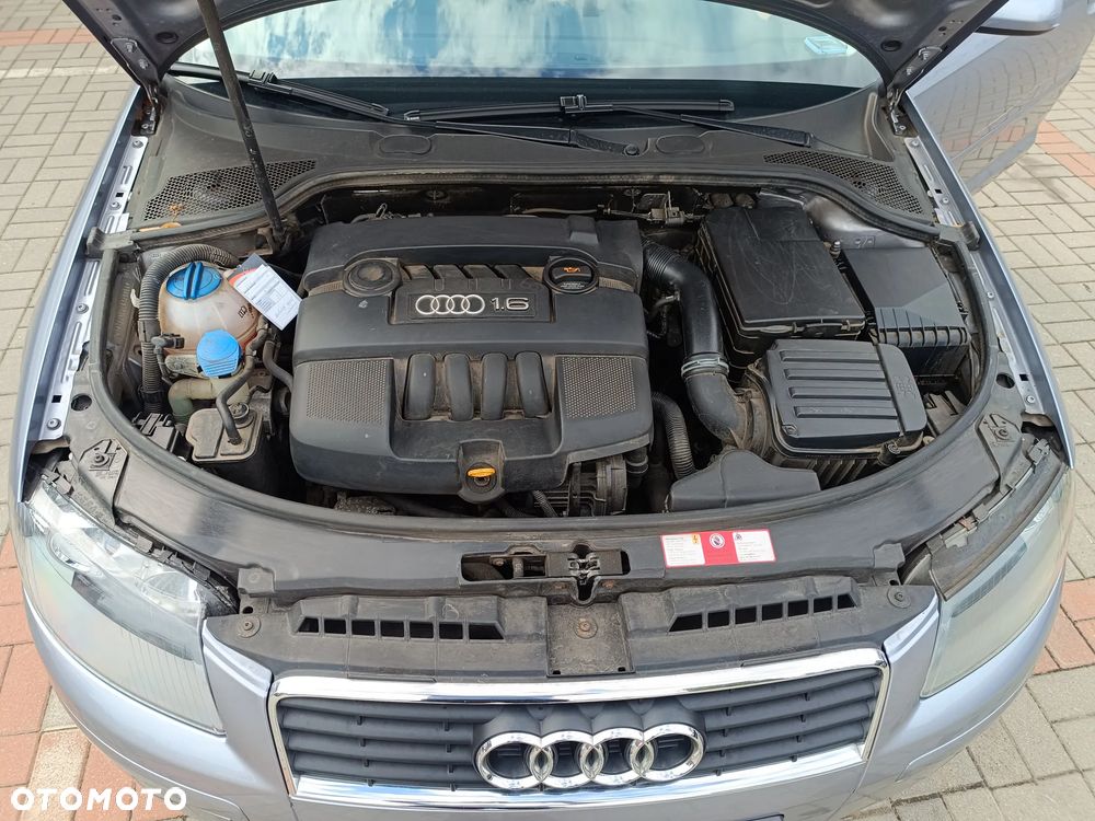 Audi A3 3-drzwiowe 1.6 Ambiente - 13