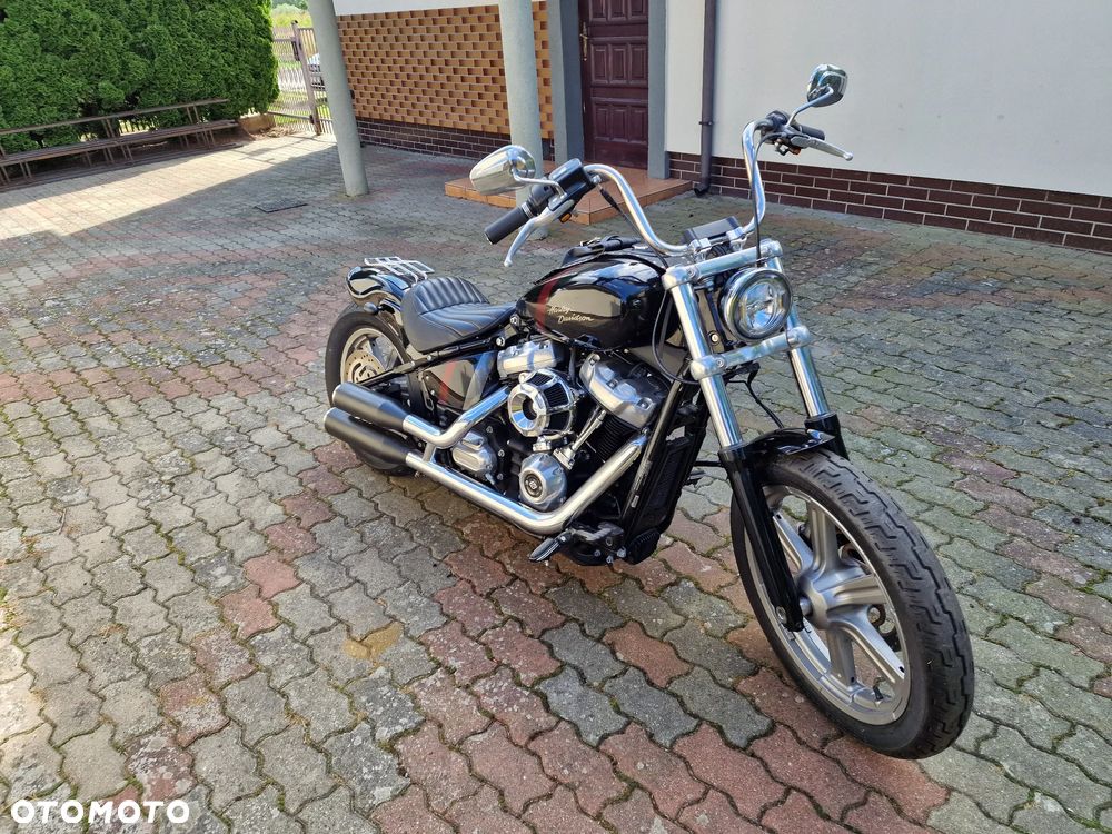 Harley-Davidson Softail Standard - 4