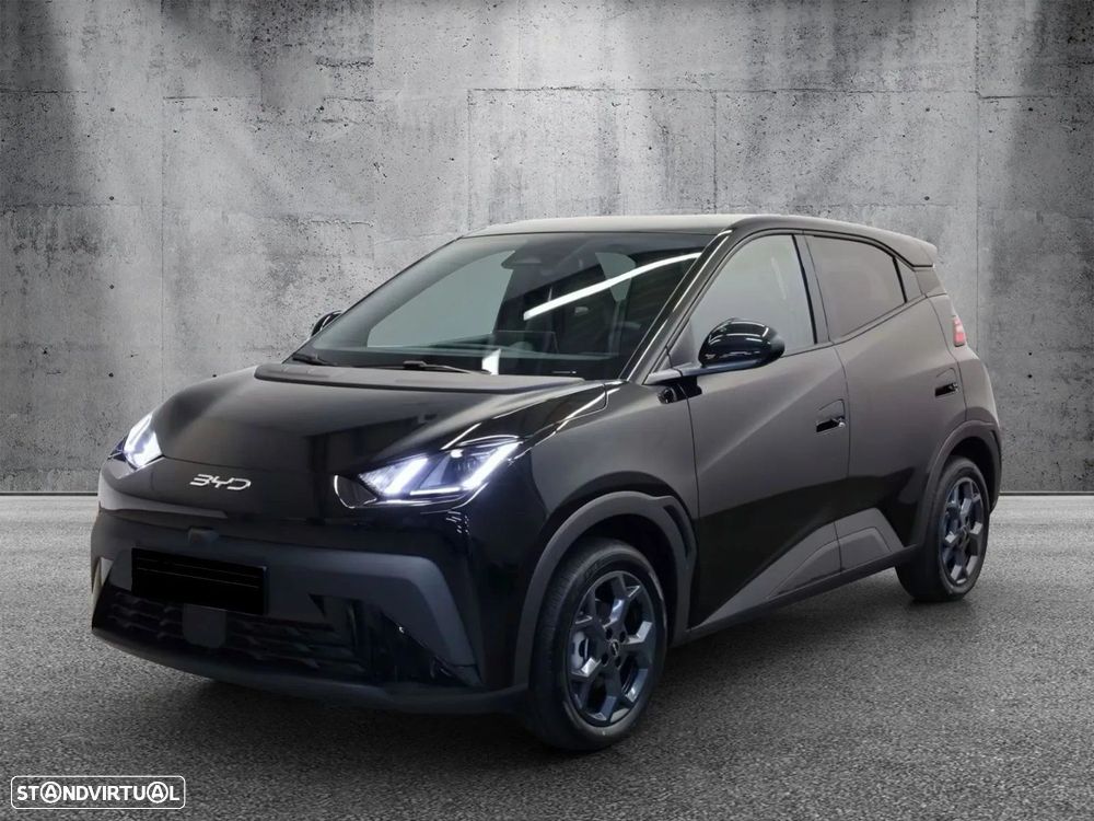 BYD Dolphin Surf - 2