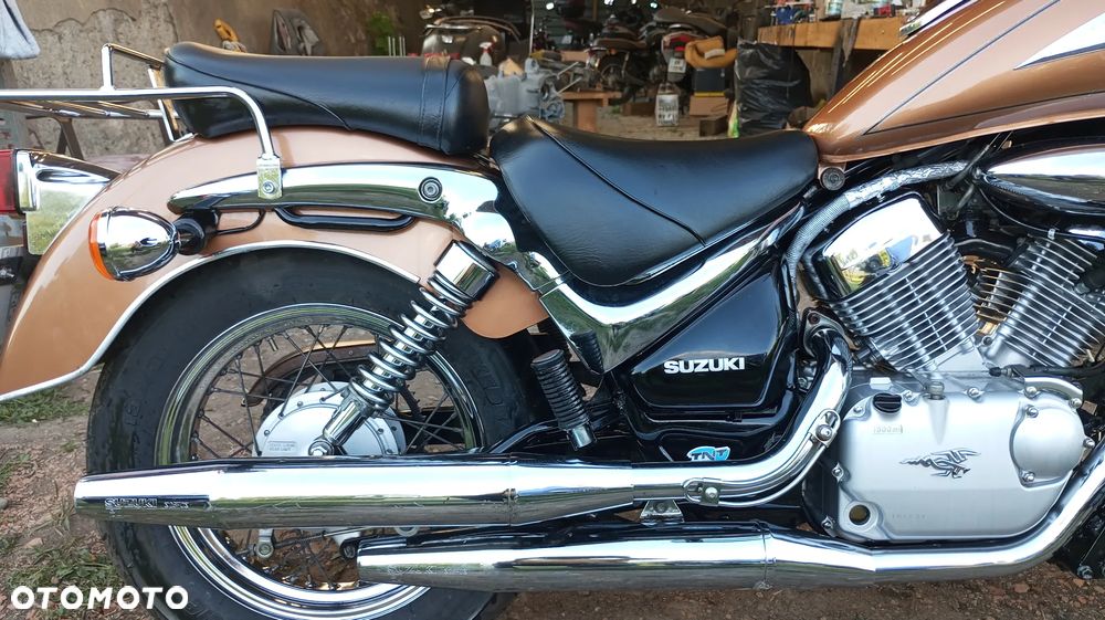Suzuki Intruder - 8
