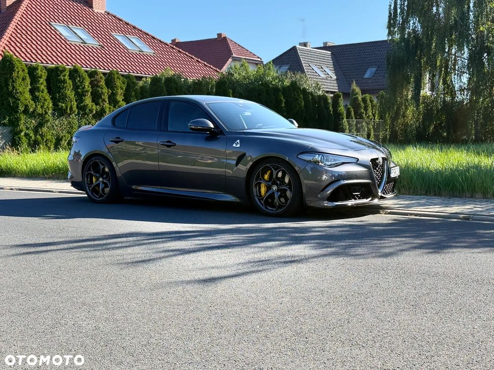 Alfa Romeo Giulia 2.9 Bi Turbo V6 Quadrifoglio - 31