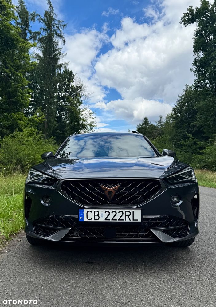 Cupra Formentor 1.5 TSI DSG - 12