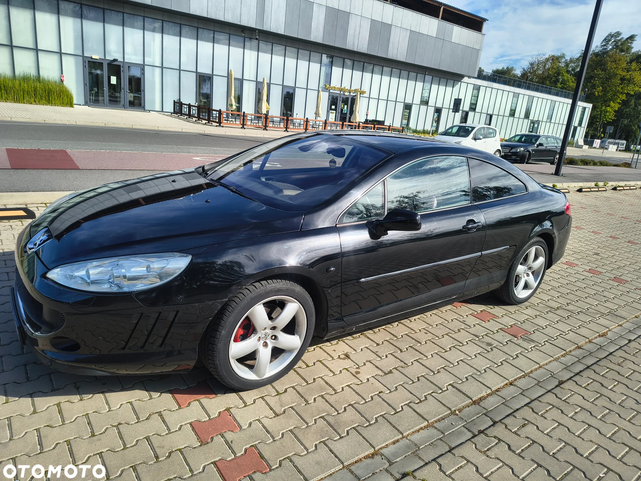Peugeot 407 - 3