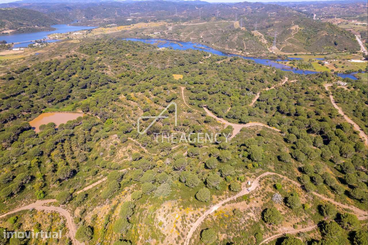 Herdade de 80ha em Silves, Algarve - Turismo Rural - Grande imagem: 4/21