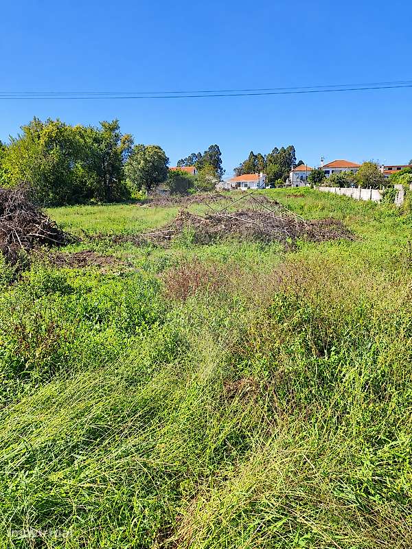 Terreno  para venda - Grande imagem: 3/10