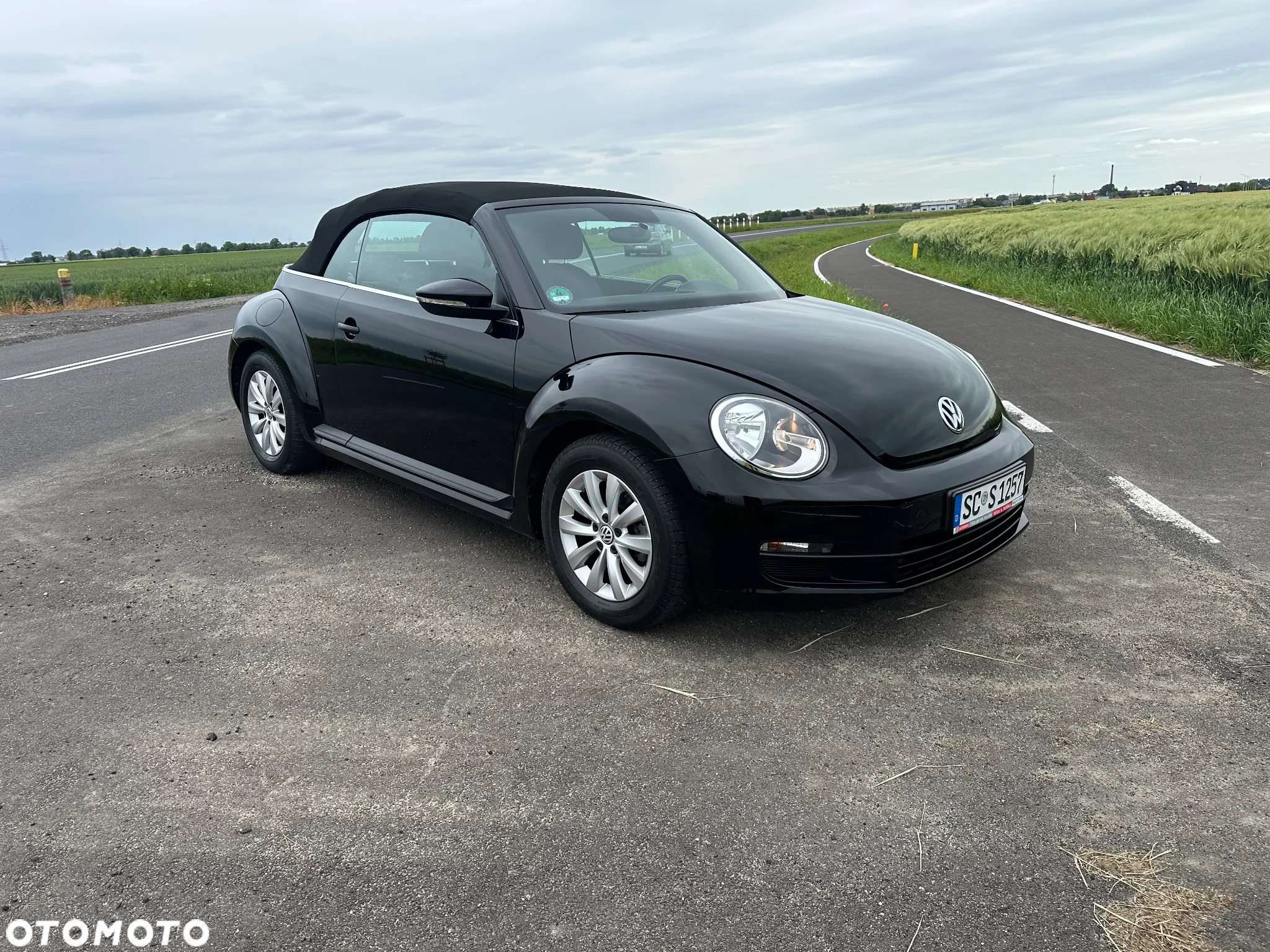 Volkswagen Beetle - 3