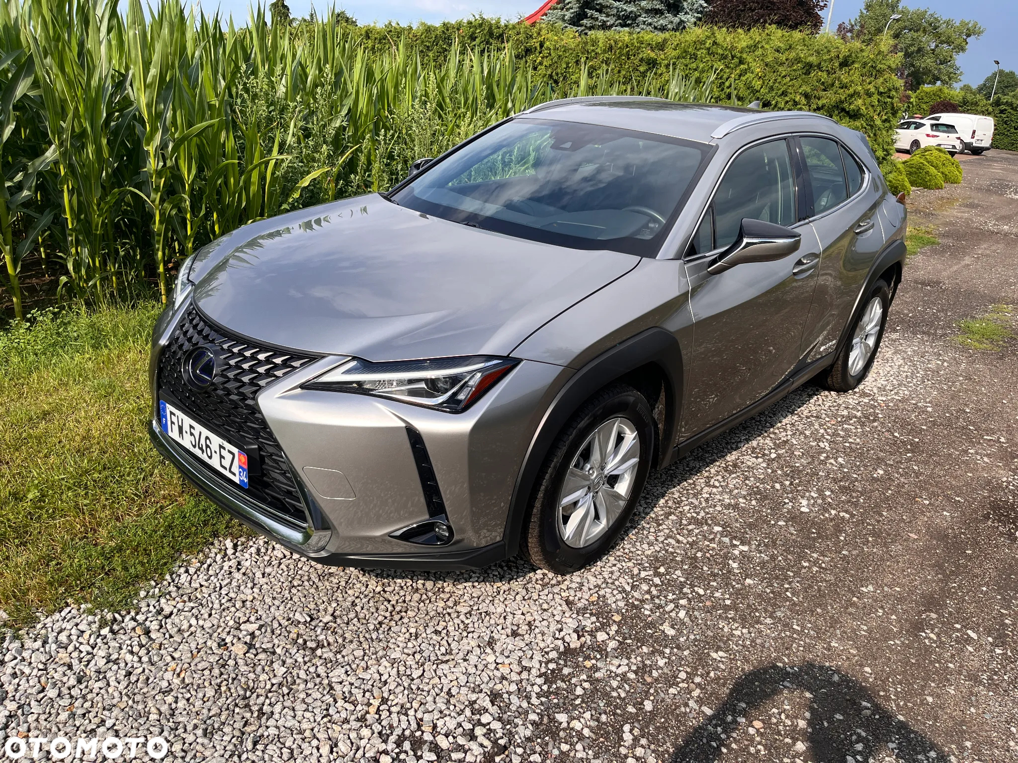 Lexus UX 250h GPF Business 2WD - 2