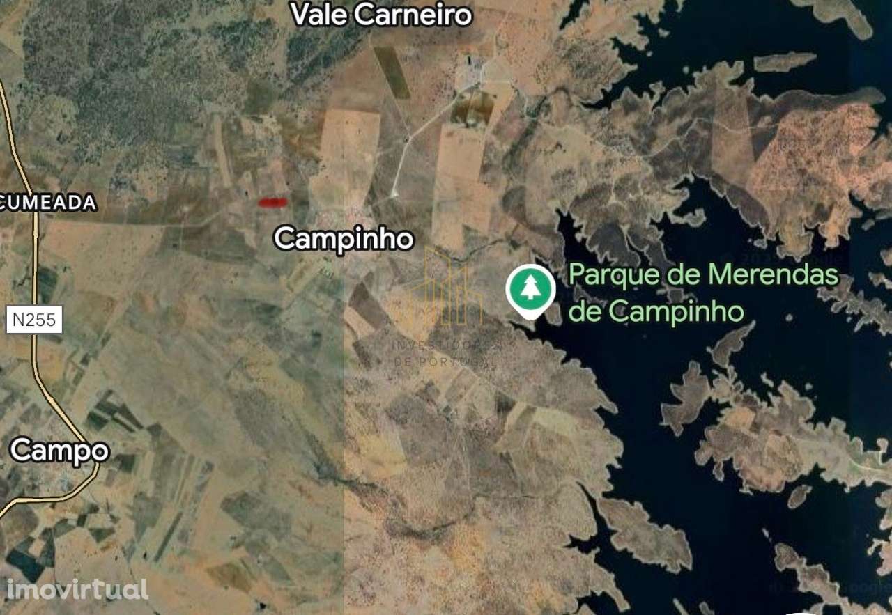 Terreno rústico com Olival em Campinho - Grande imagem: 4/5