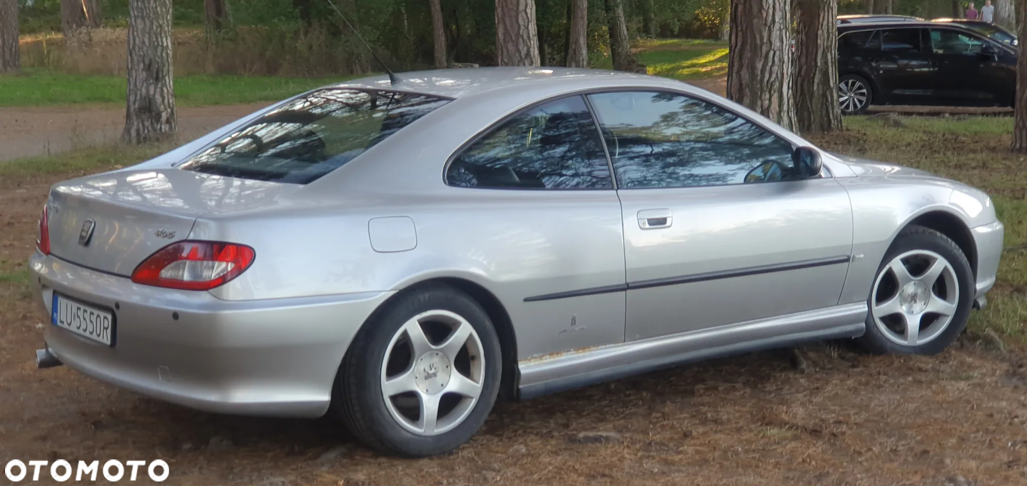 Peugeot 406 2.2 HDI - 9