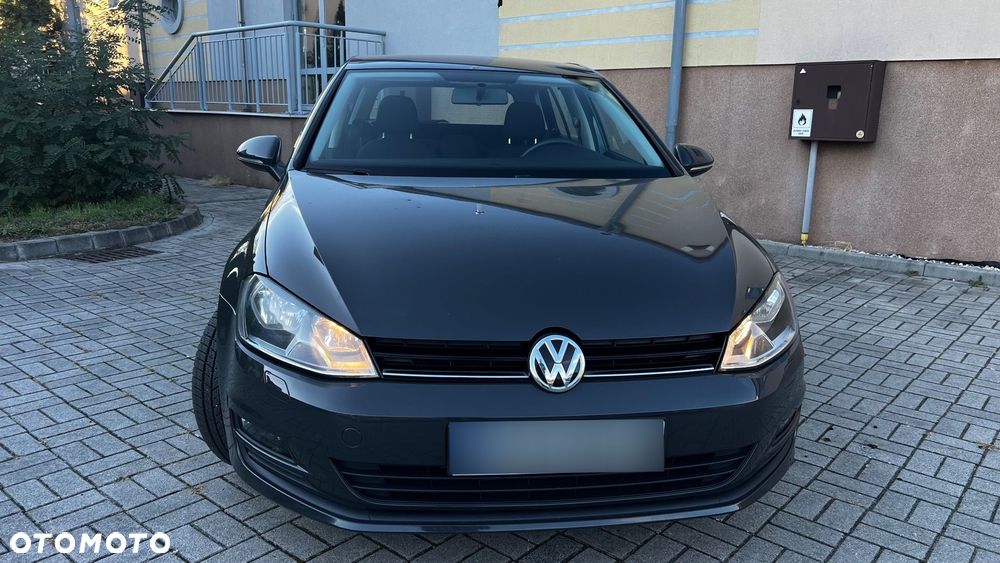 Volkswagen Golf - 28