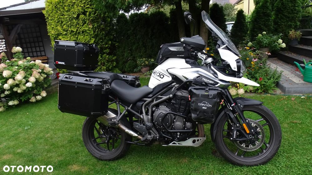 Triumph Tiger - 10