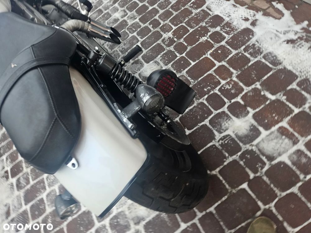 Harley-Davidson Sportster Custom 883C - 19