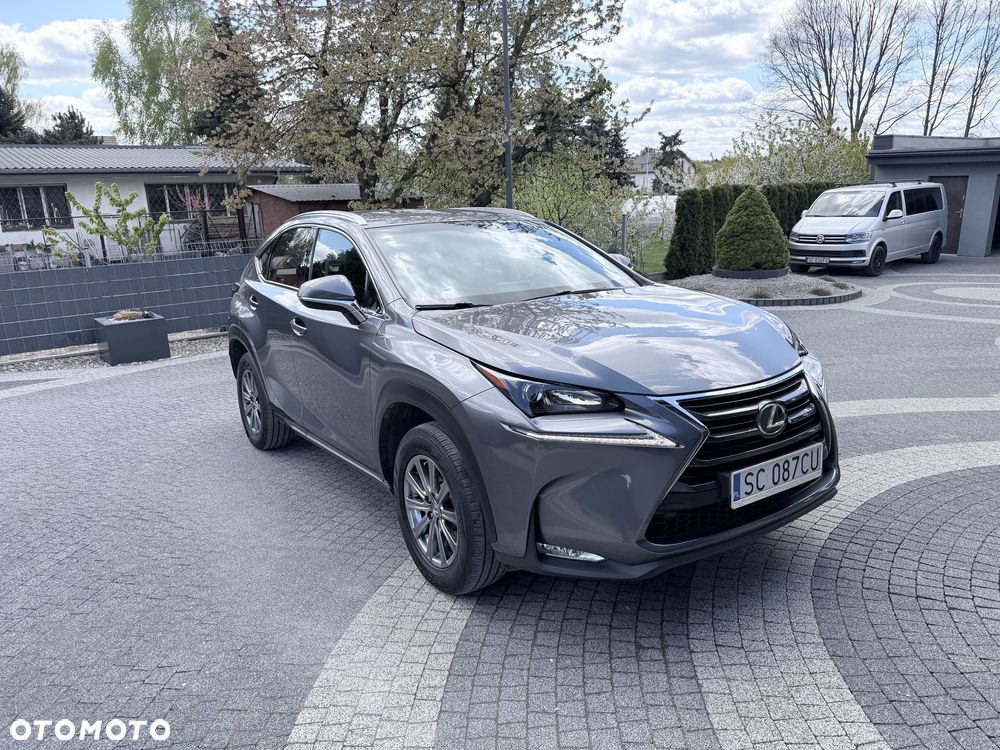 Lexus NX - 1