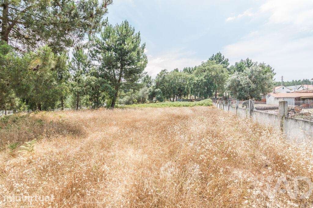 Terreno Agrícola em Marinha Grande - Grande imagem: 4/5