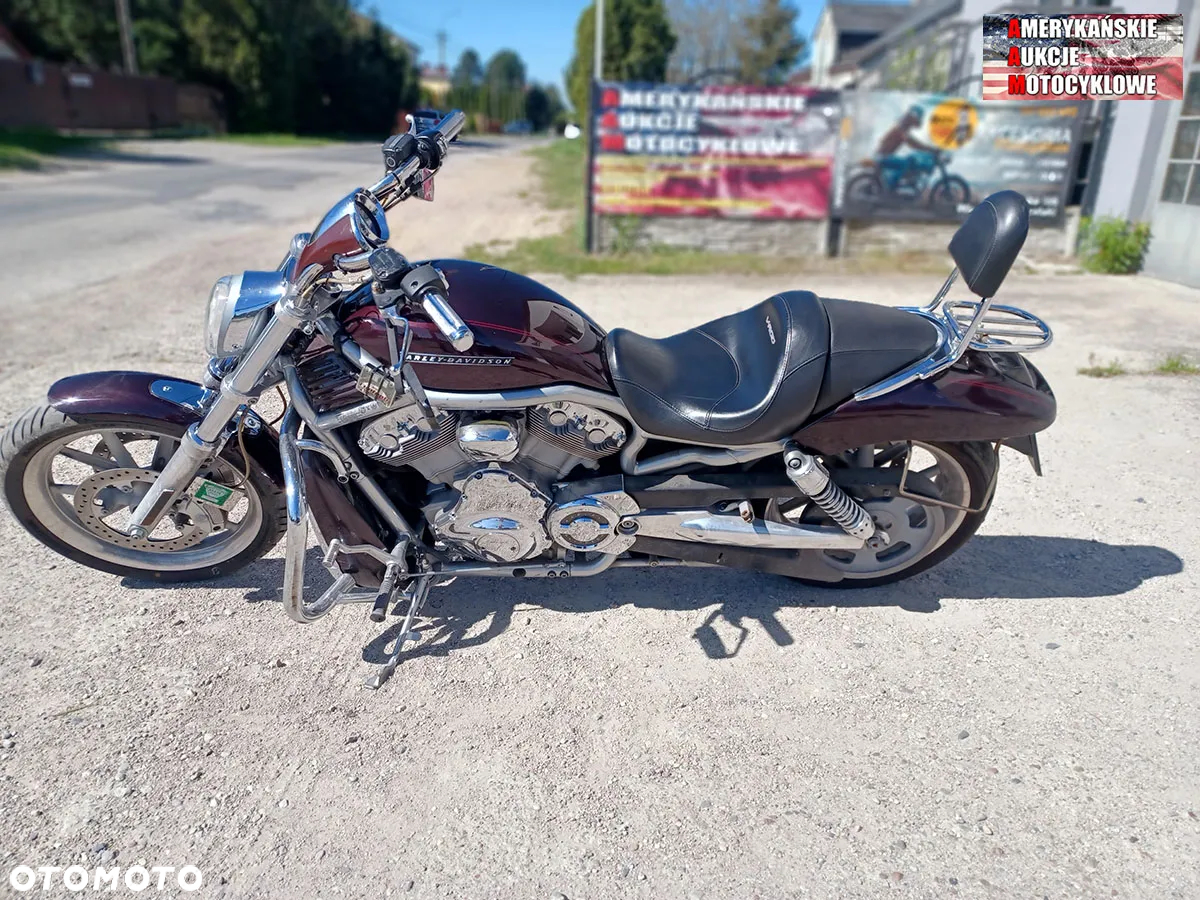 Harley-Davidson V-Rod Street Rod - 2