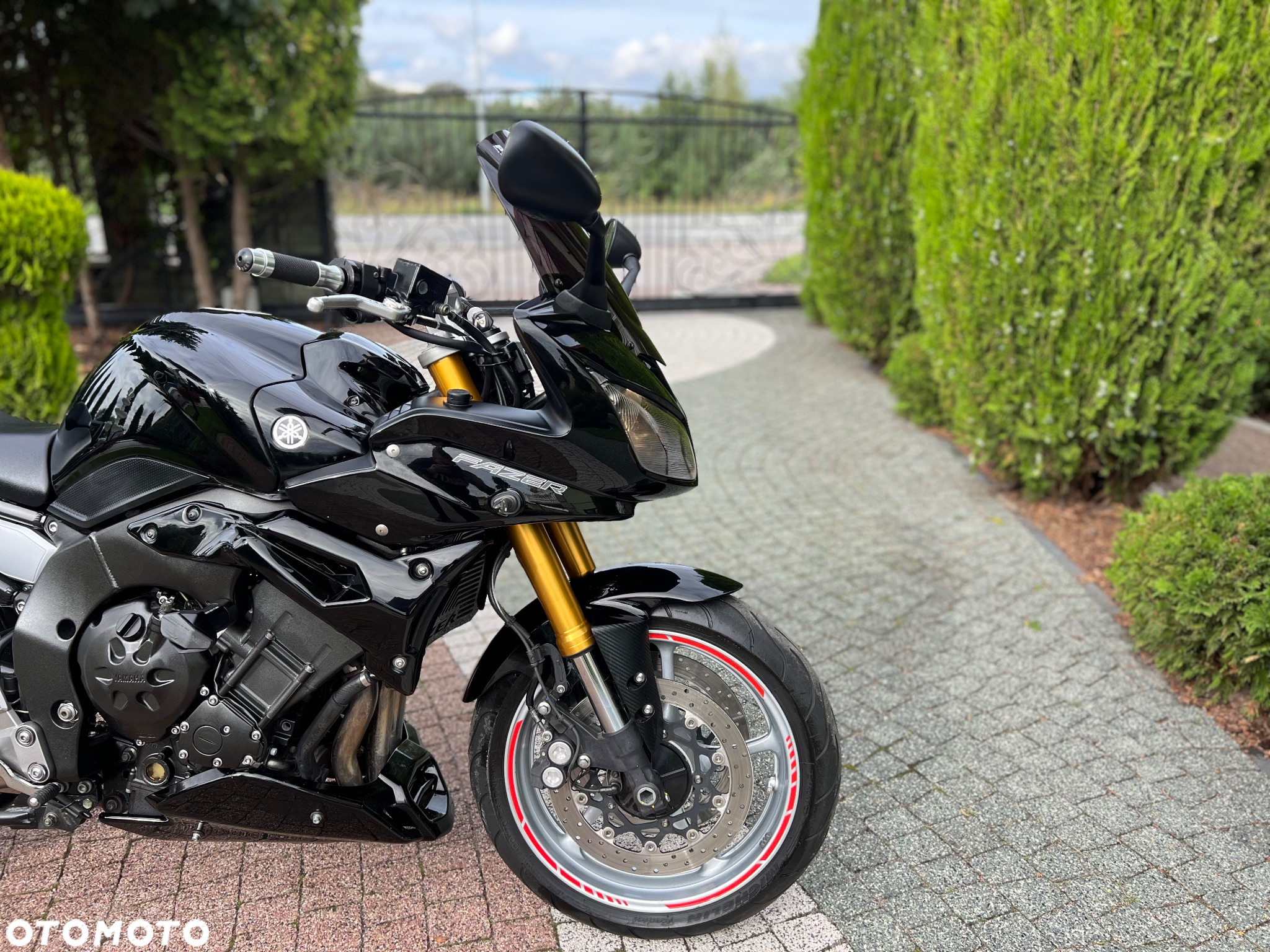 Yamaha FZ - 6