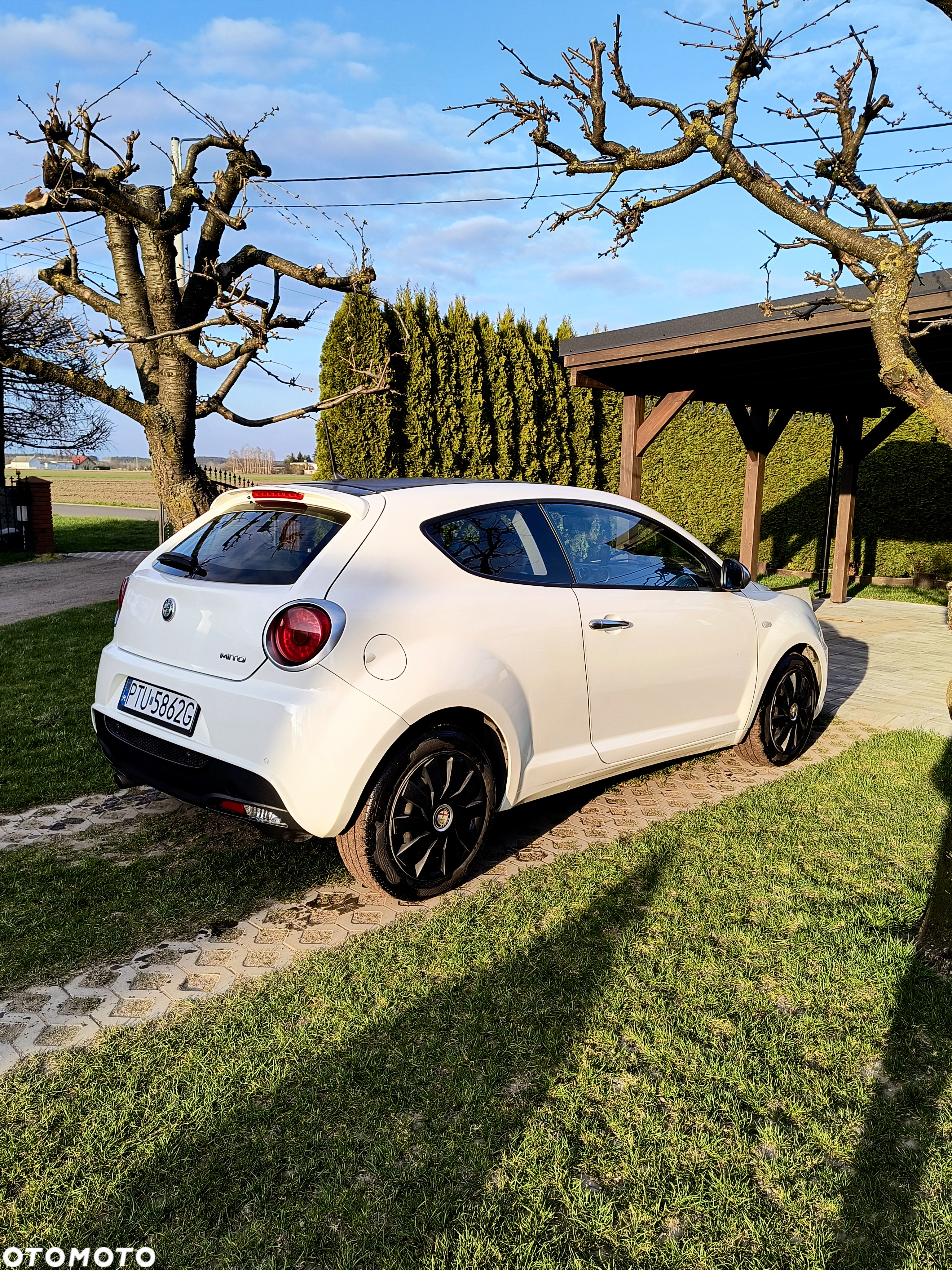 Alfa Romeo Mito 1.3 JTDM ECO Turismo - 5