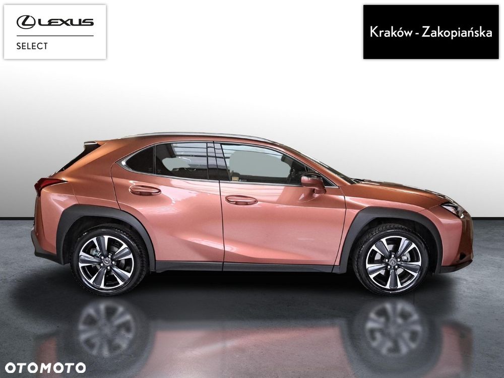 Lexus UX 300h Business - 6