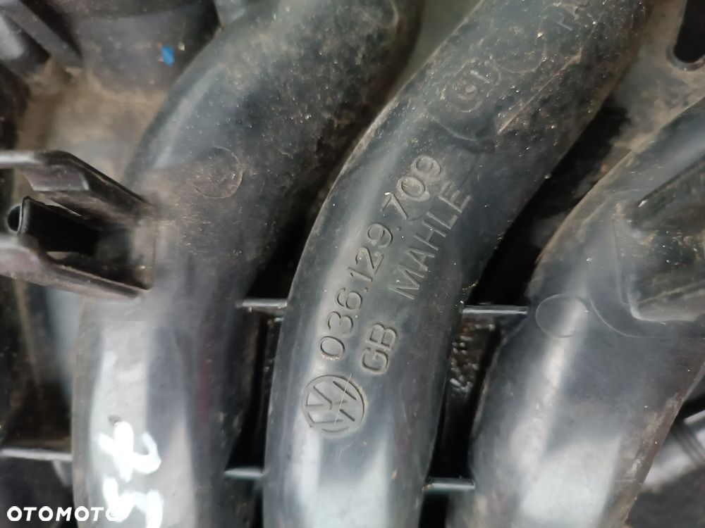 SEAT IBIZA IV 1.4B 2009R KOLEKTOR SSĄCY 036129709 - 2