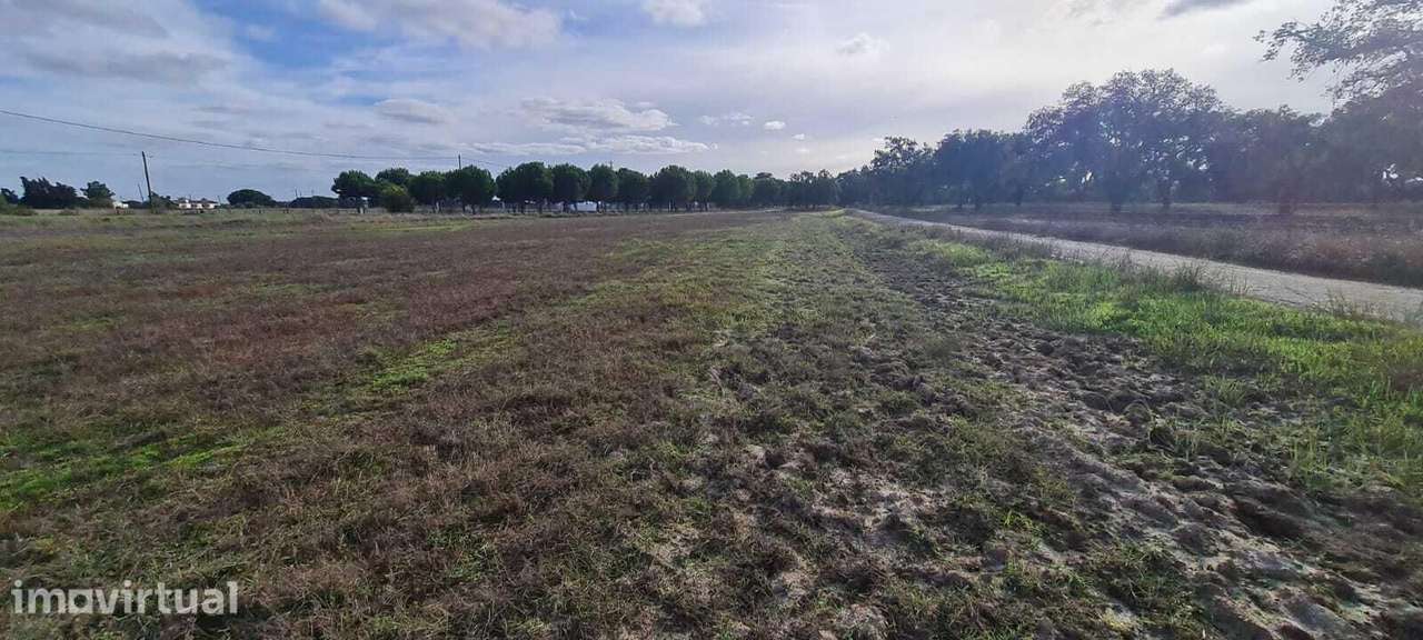 Terreno Misto 4.0 ha, Água Derramada, Grandola - Grande imagem: 4/20