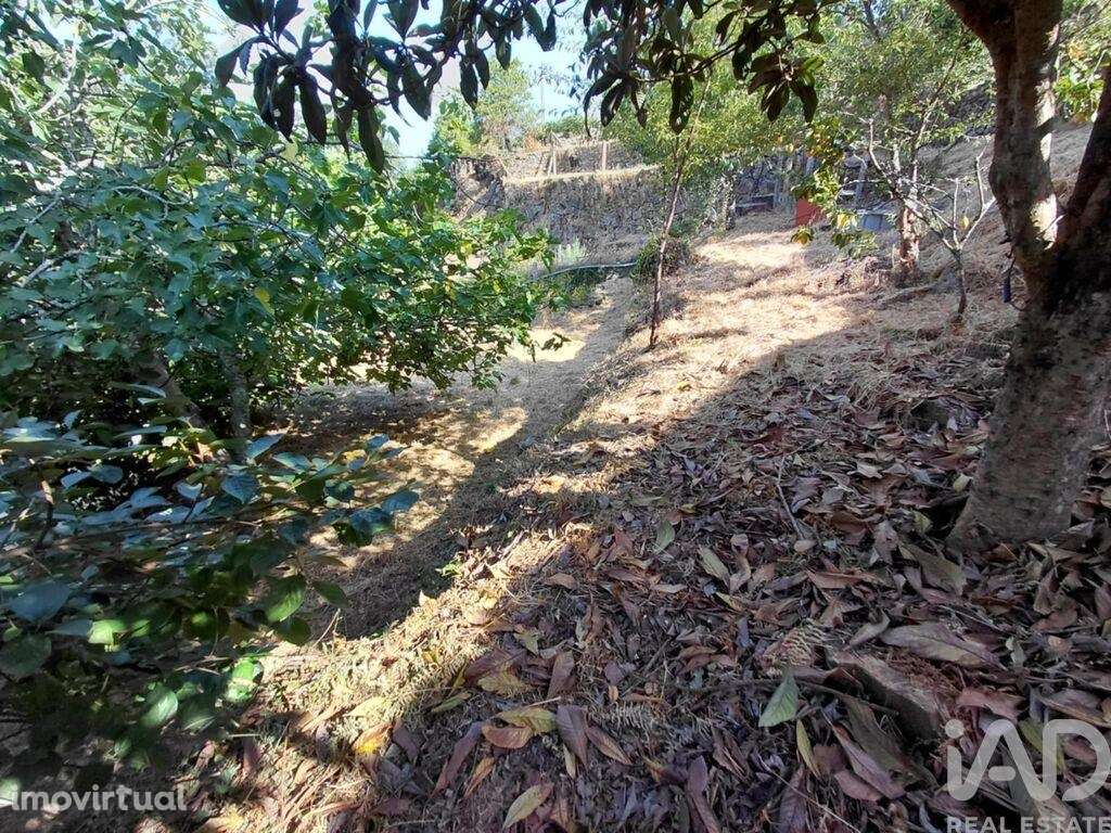 Terreno em Vila e Roussas de 1100,00 m2 - Grande imagem: 3/9