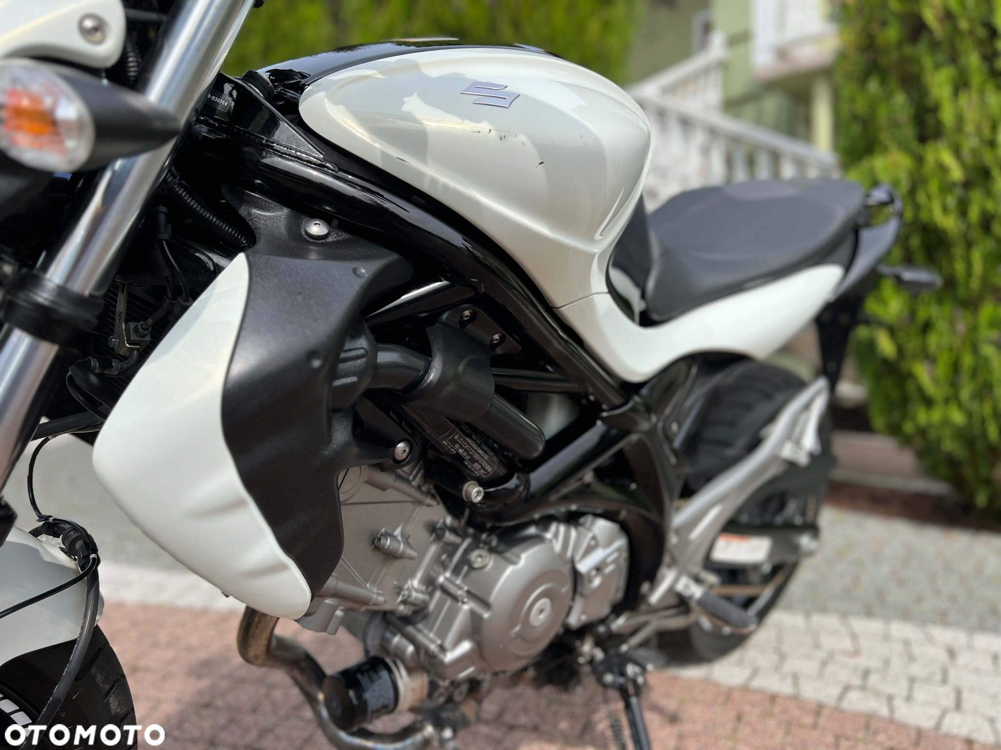 Suzuki Gladius - 29
