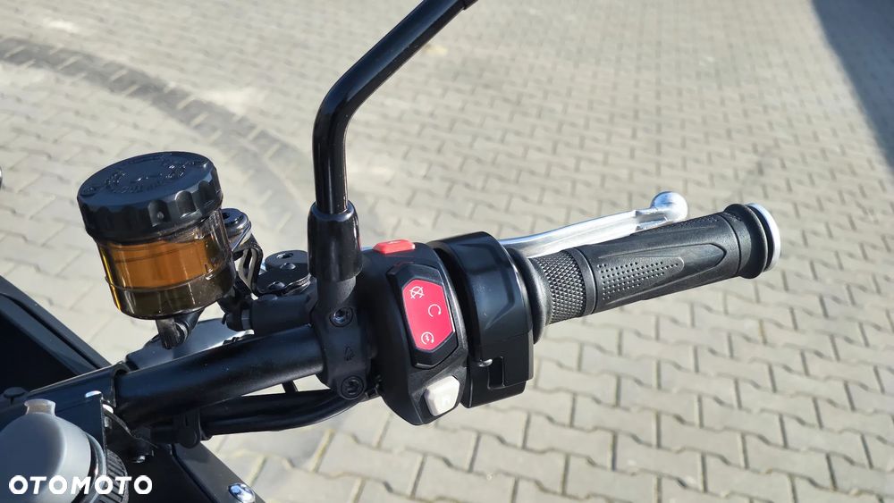 Triumph Tiger - 23