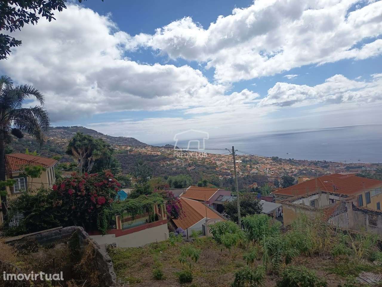 Quinta do Salvador, Livramento | Funchal - Grande imagem: 3/16