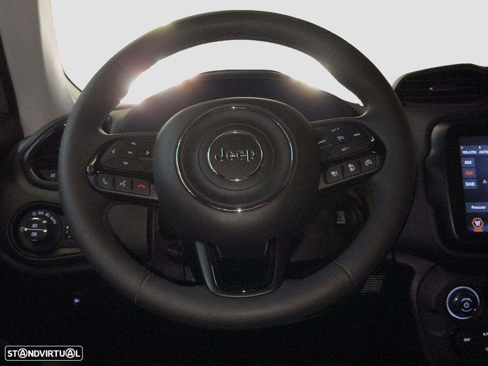 Jeep Renegade 1.3 TG Limited - 17