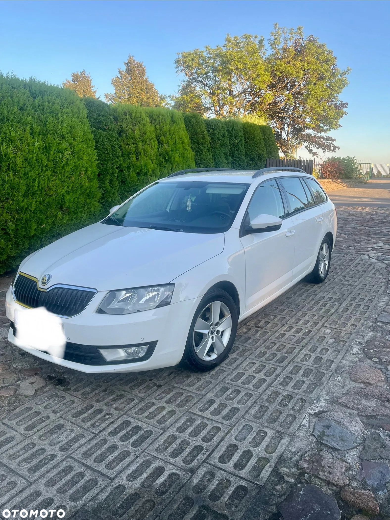 Skoda Octavia 1.6 TDI Edition - 1