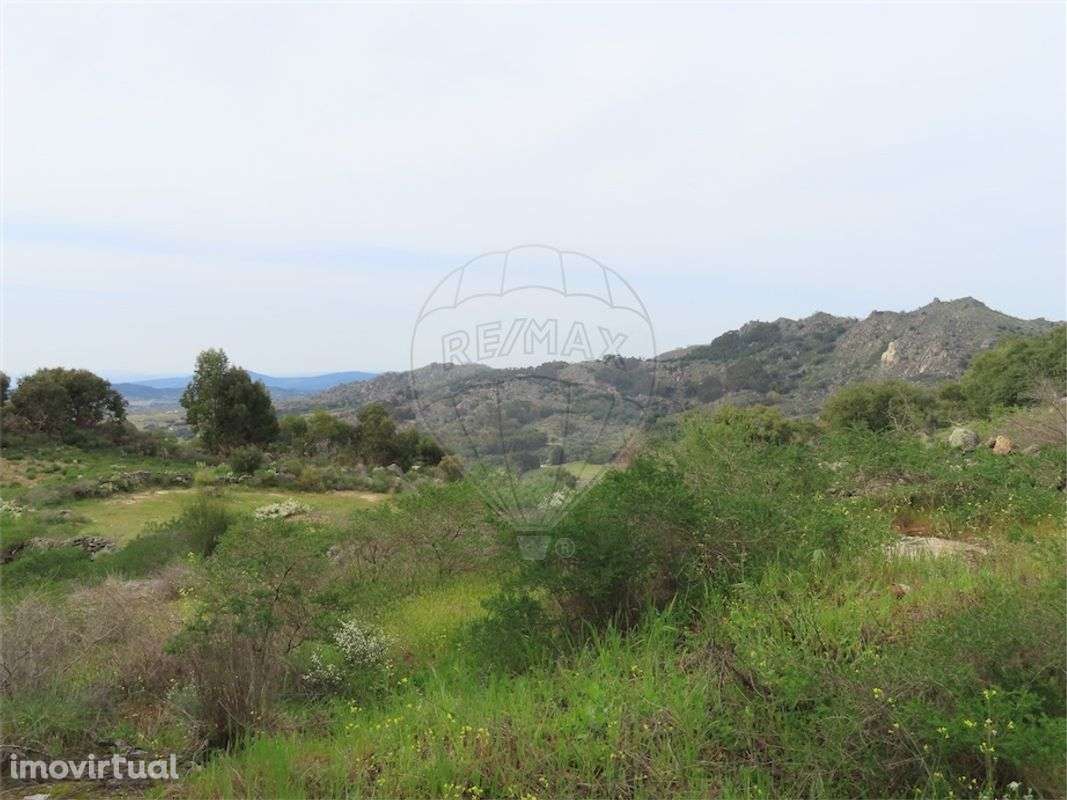 Quinta  para venda - Grande imagem: 3/28