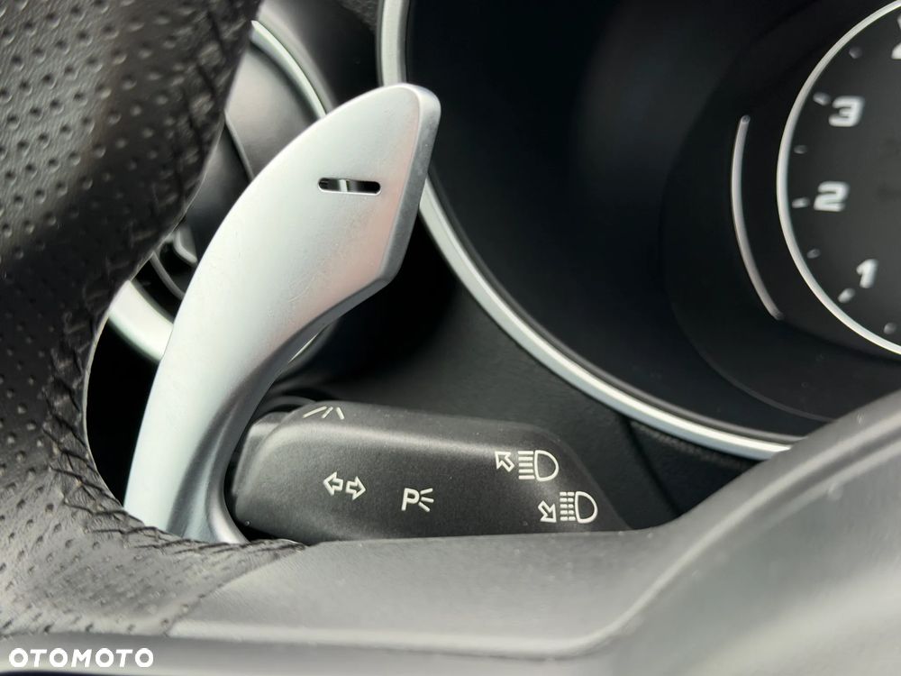 Alfa Romeo Stelvio 2.0 Turbo Q4 - 18