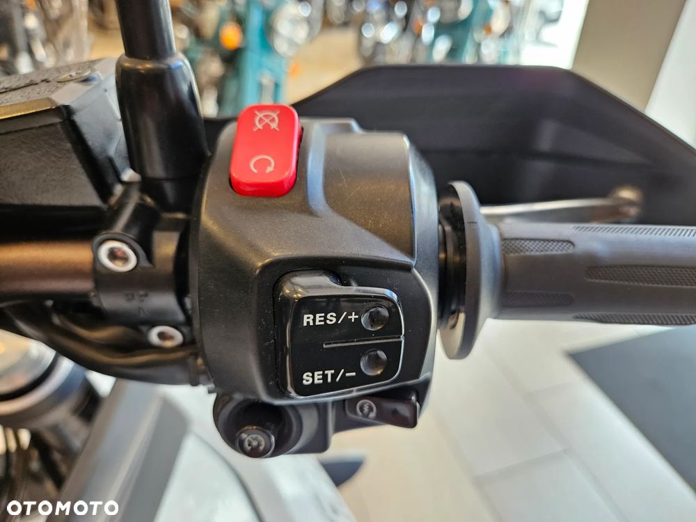 Triumph Tiger - 12
