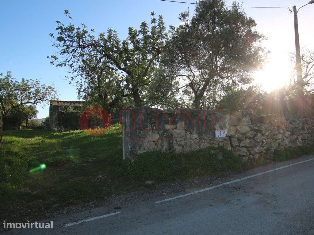 Terreno Urbano com Potencial de Construção em S. Brás de Alportel - Grande imagem: 2/4
