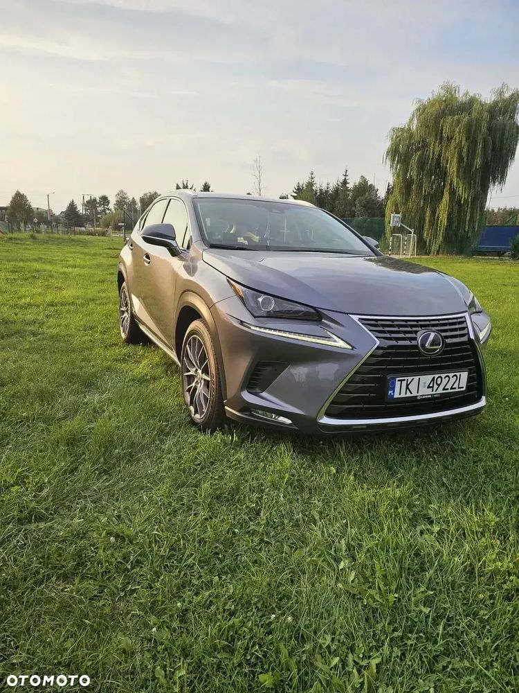 Lexus NX - 3