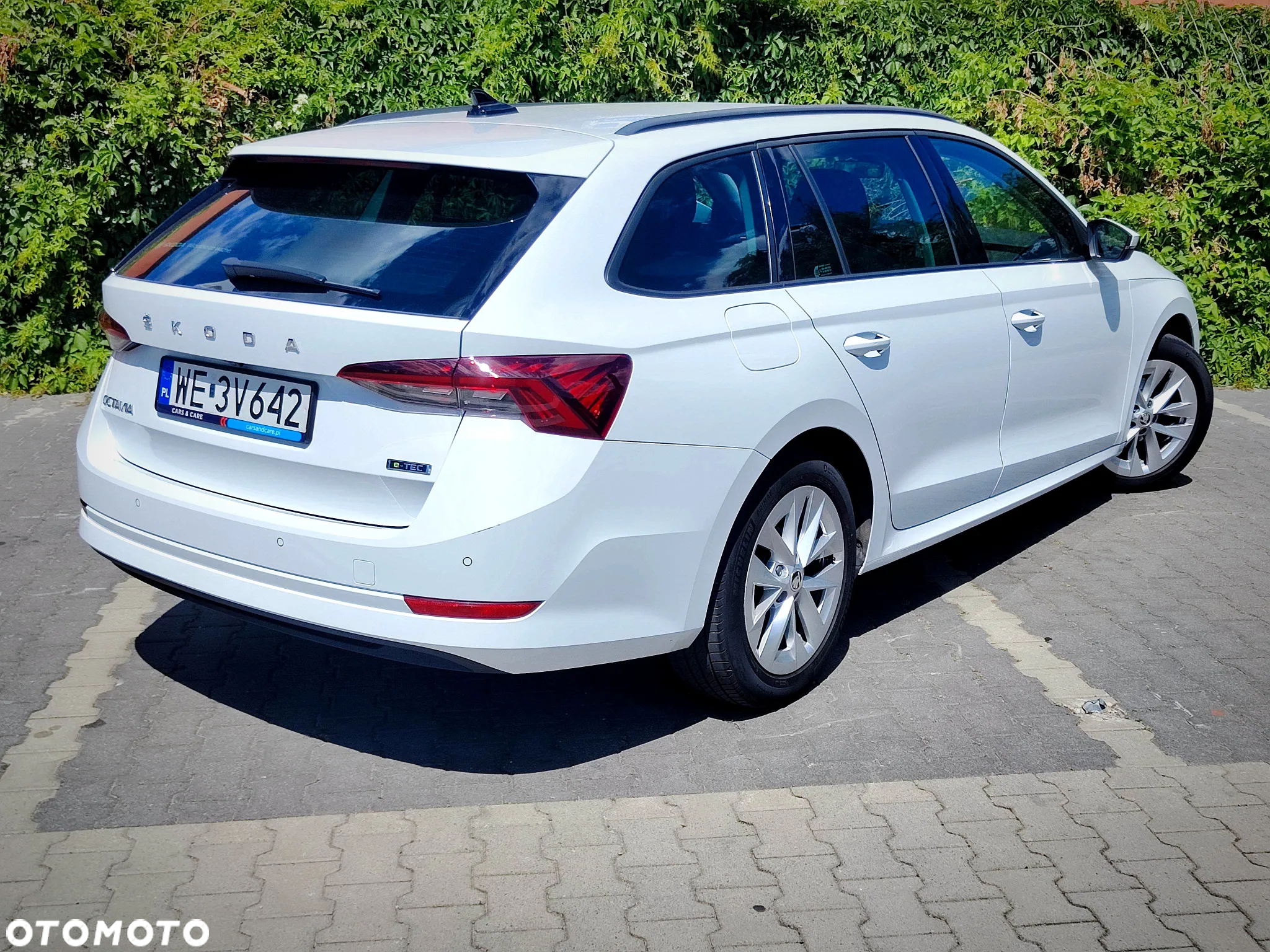 Skoda Octavia 1.5 TSI ACT Ambition DSG - 15