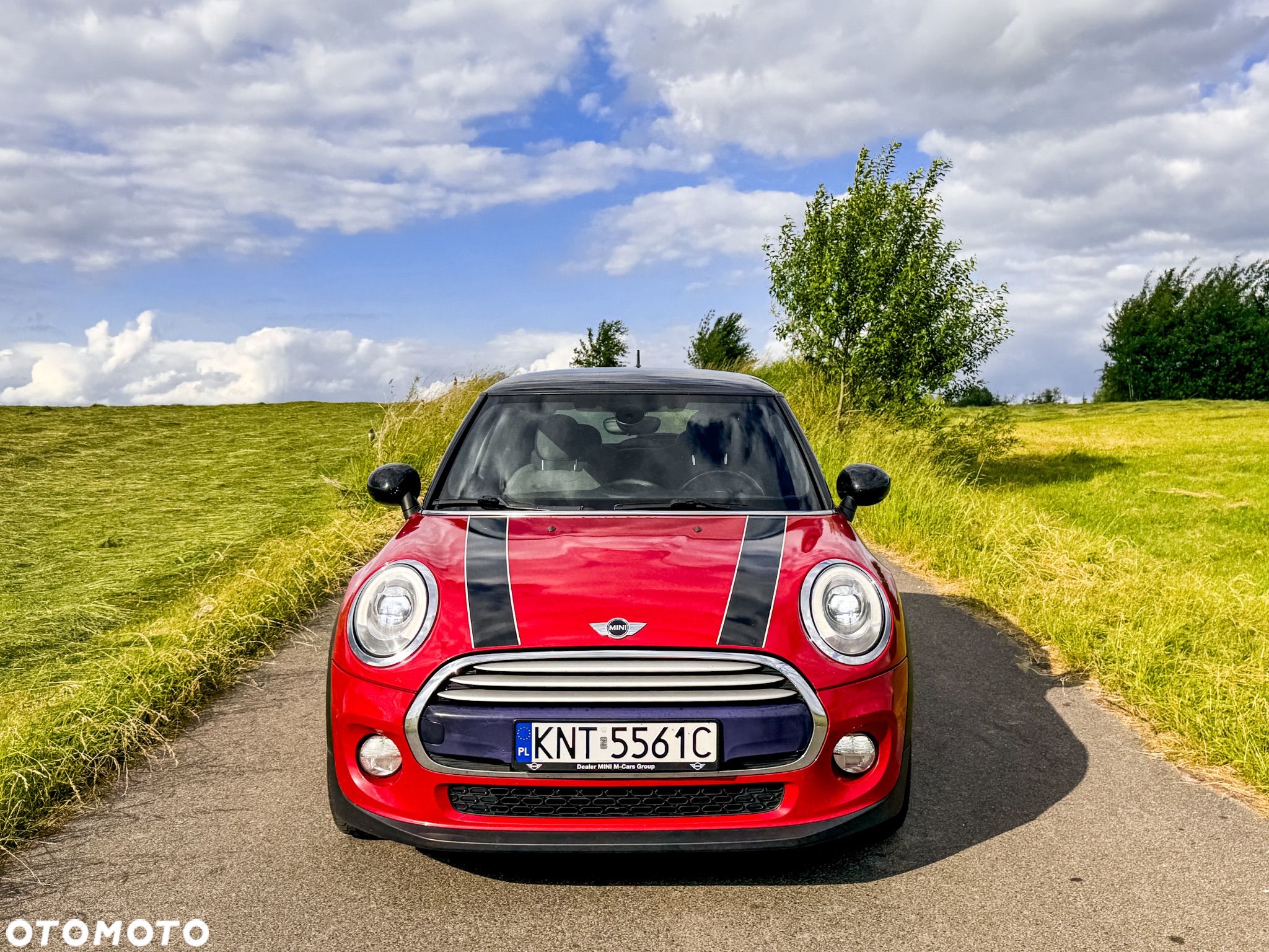 MINI Cooper - 1