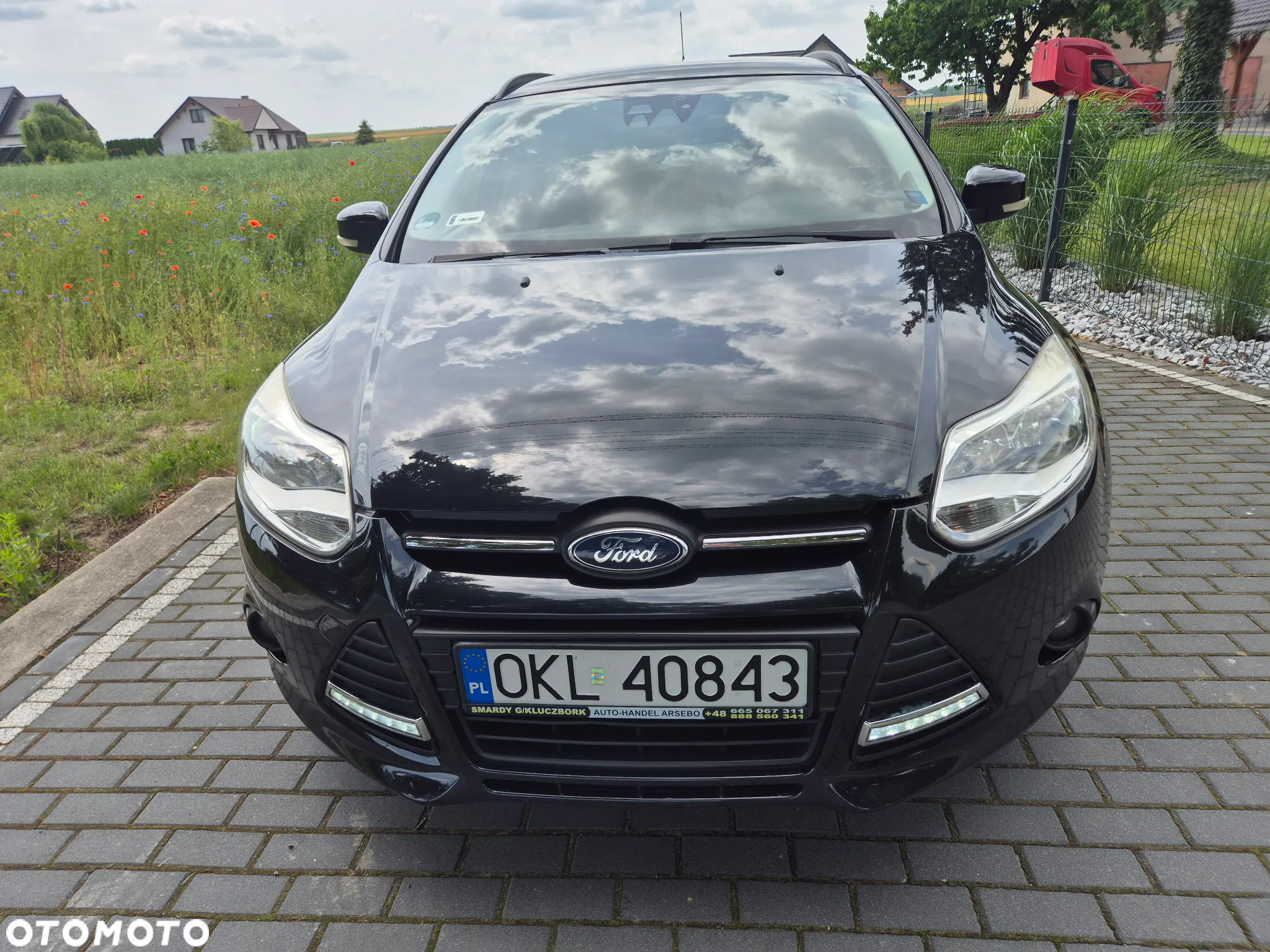 Ford Focus - 16