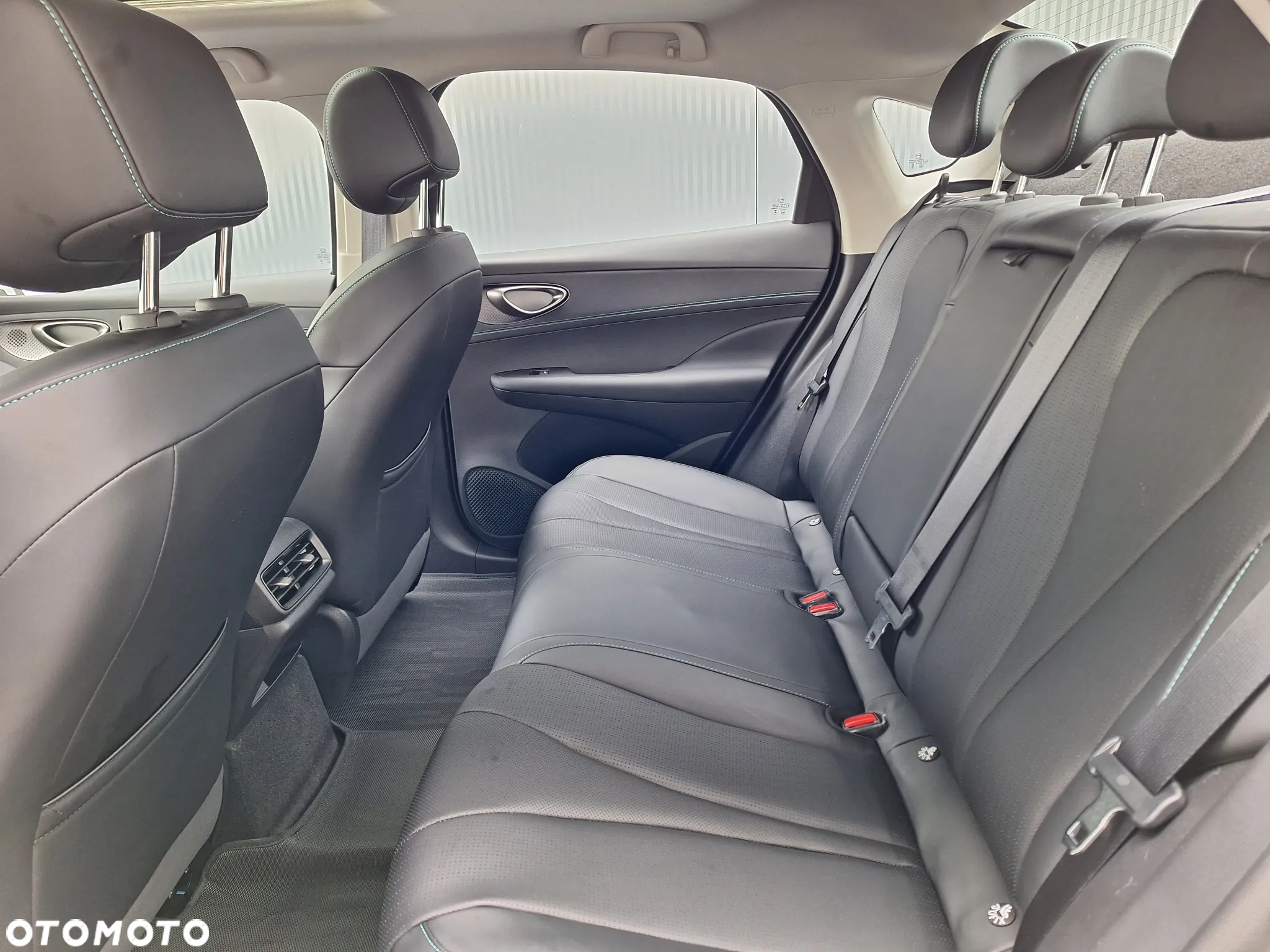 BYD Inny - 9