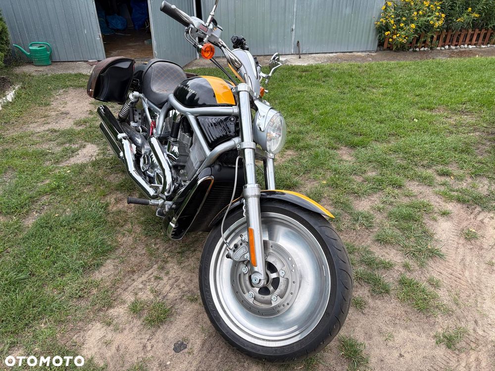 Harley-Davidson V-Rod Street Rod - 4