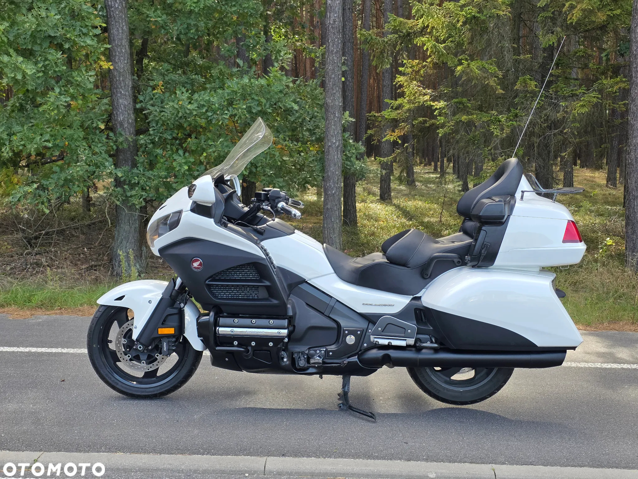 Honda GL - 7