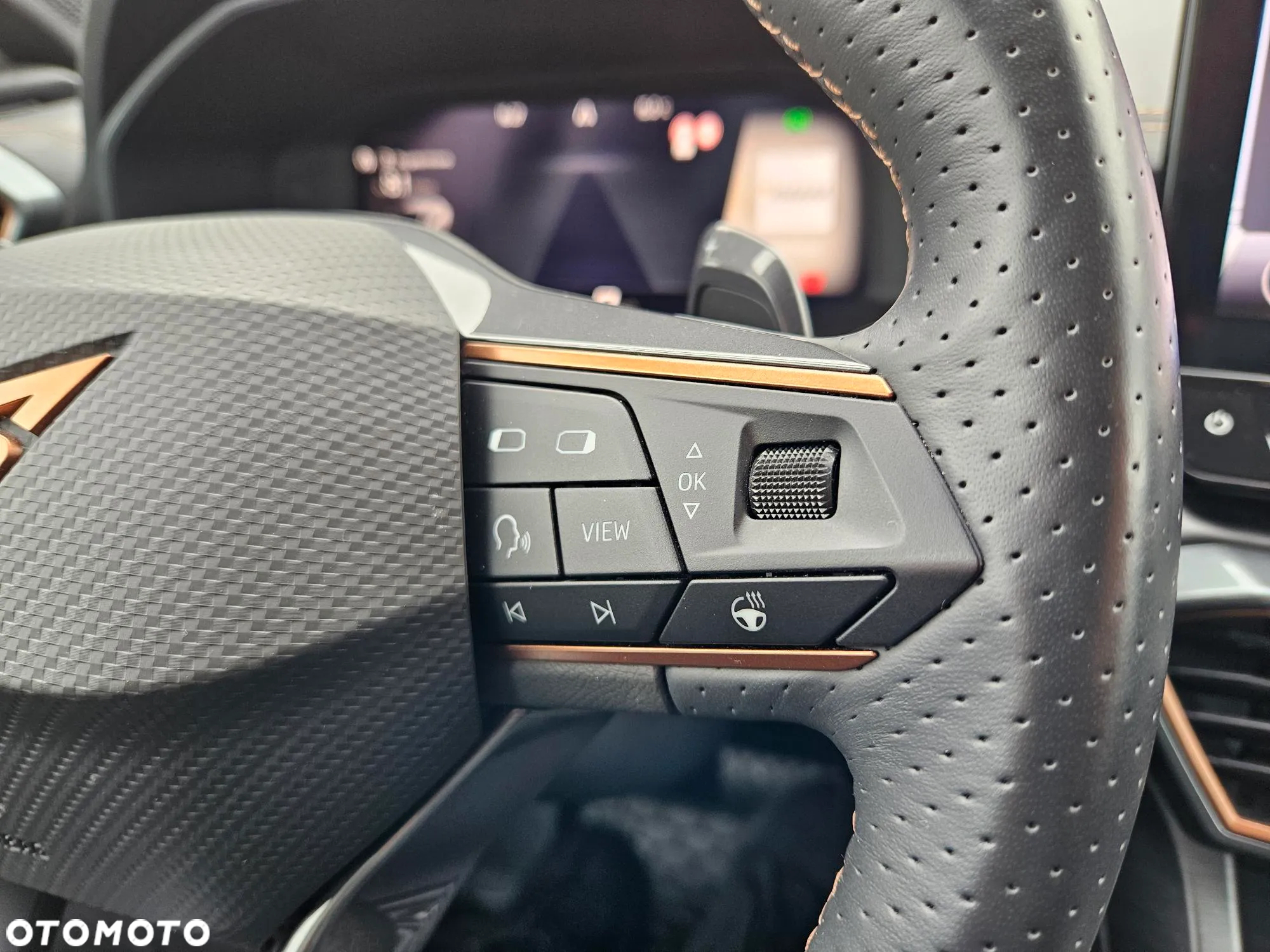 Cupra Formentor 1.5 TSI DSG - 19