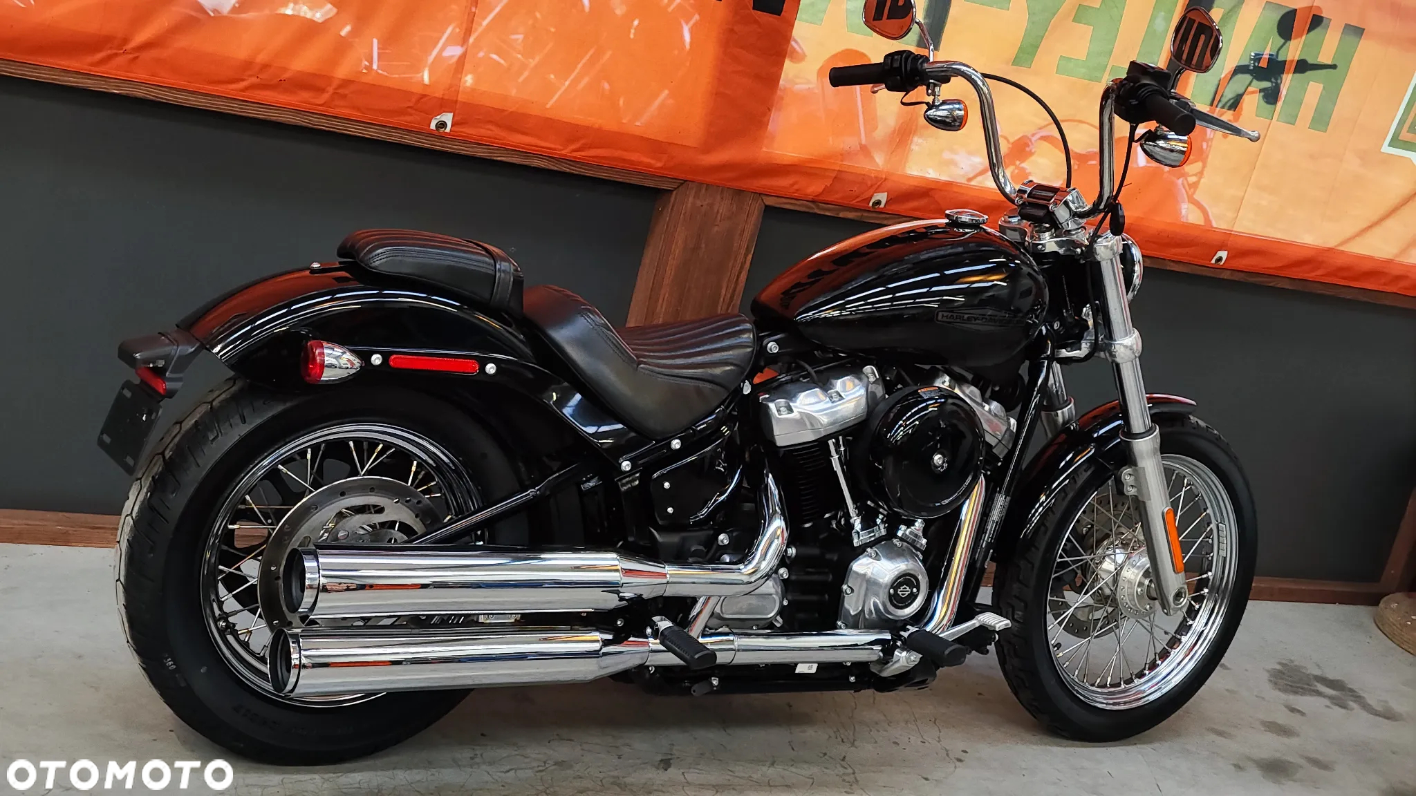 Harley-Davidson Softail Standard - 3