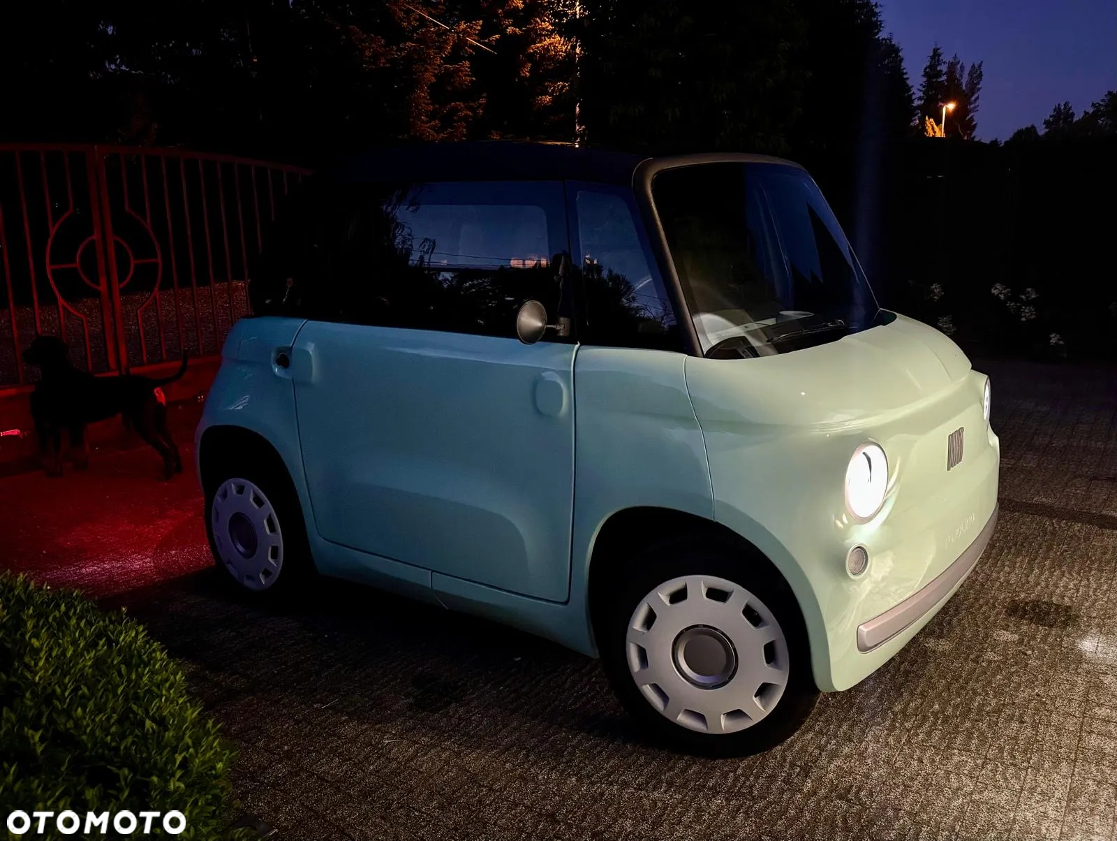 Fiat Inny - 16