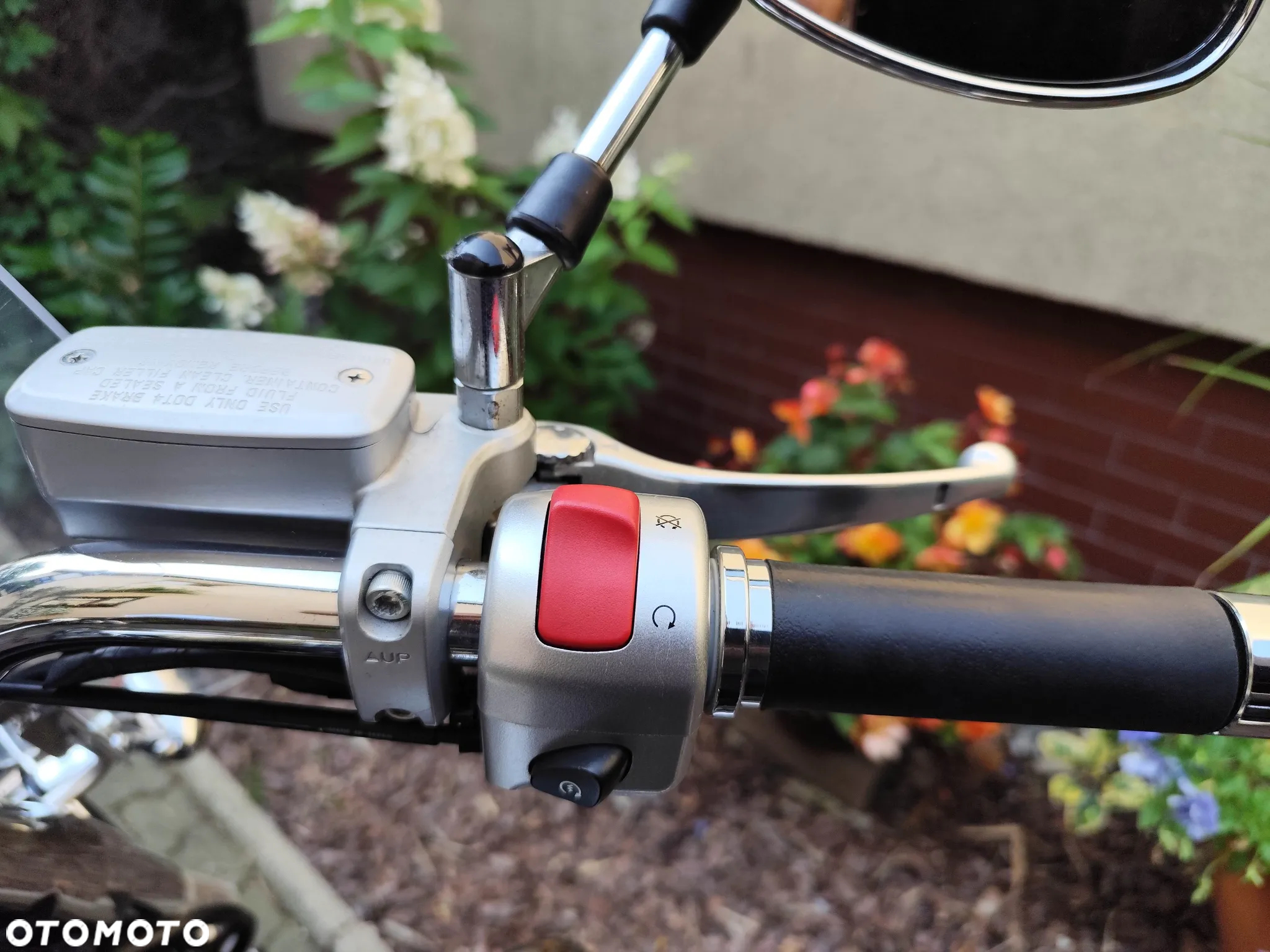 Suzuki Intruder - 24