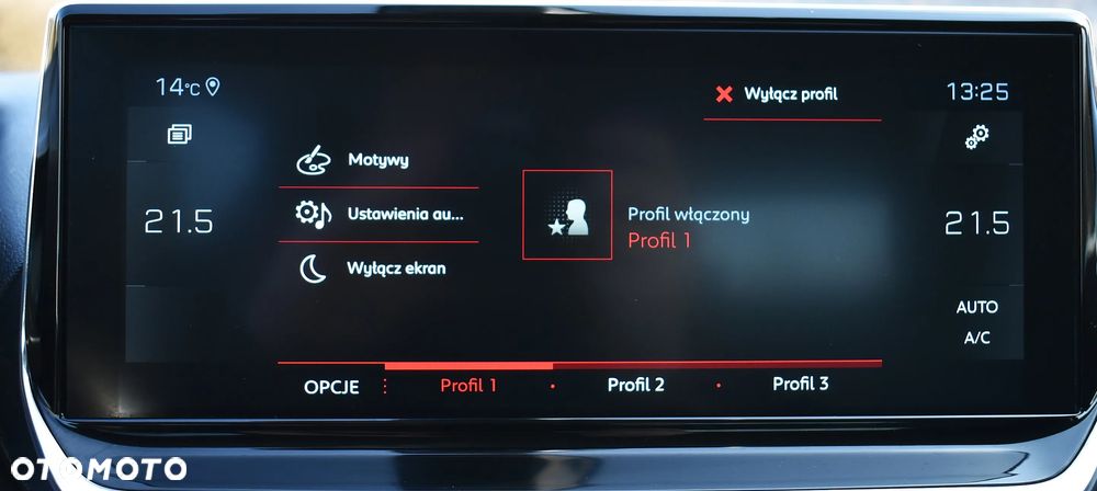 Peugeot 2008 1.5 BlueHDi Allure S&S EAT8 - 28