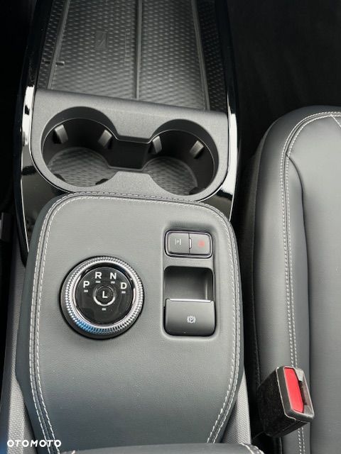 Ford Mustang Mach-E - 24