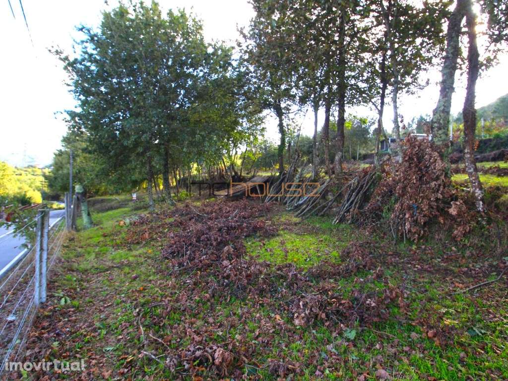 Terreno Vista para o rio Douro - Grande imagem: 5/12