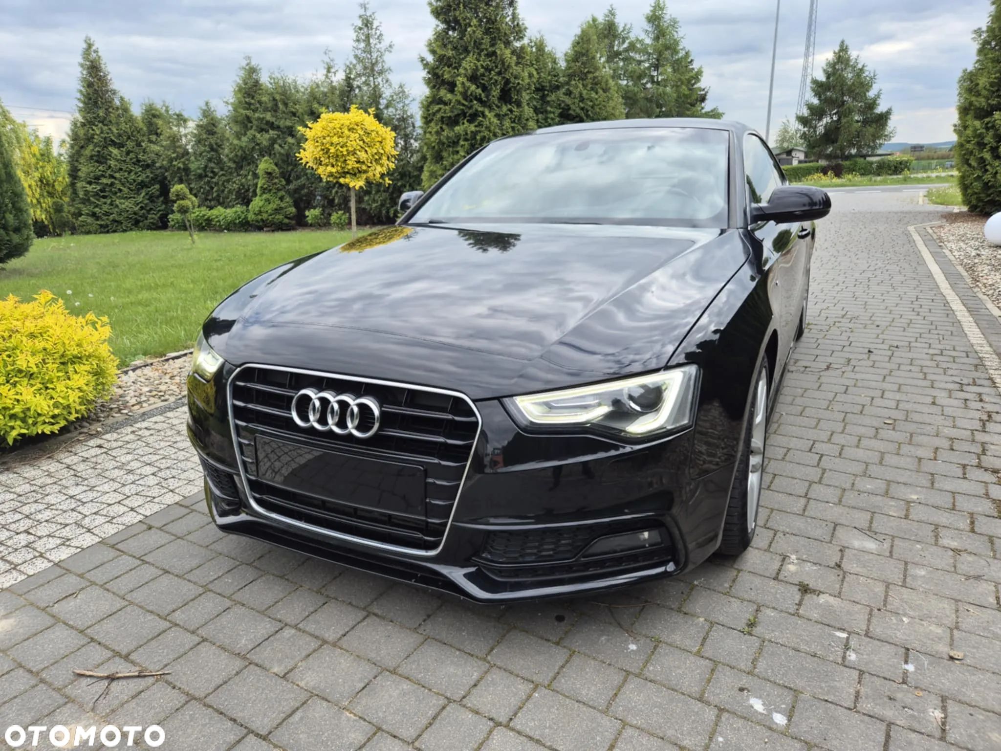Audi A5 2.0 TDI DPF - 1