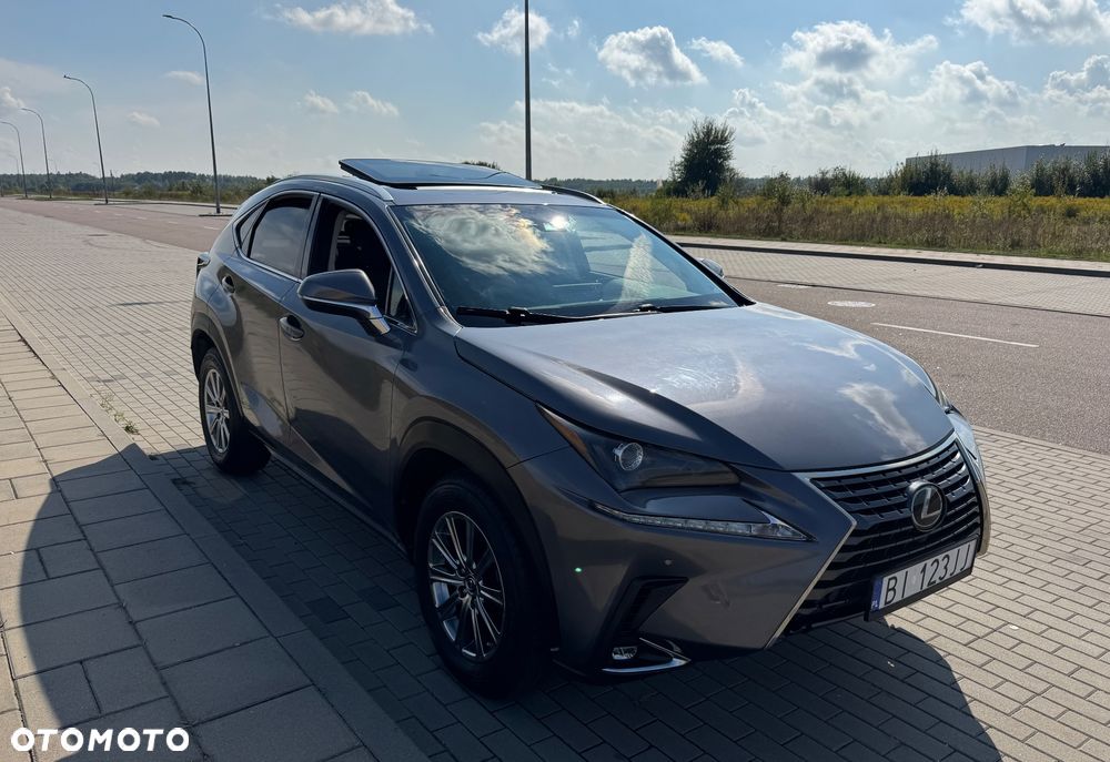 Lexus NX 300 - 17